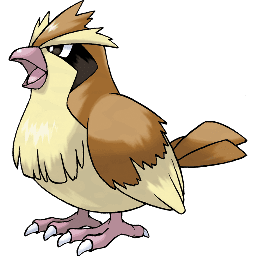 pidgey