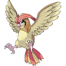 pidgeotto