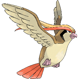 pidgeot