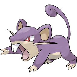 rattata