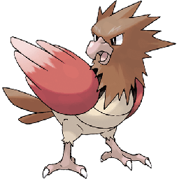 spearow